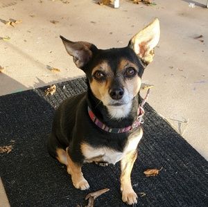 Meet your Posher, Ryann